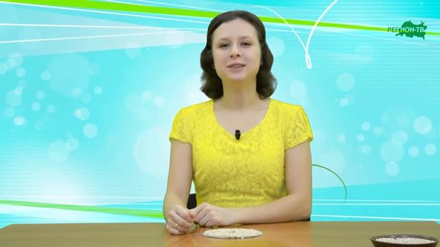 Творческая мастерская "Своими руками" Кормушка для птиц смотреть онлайн