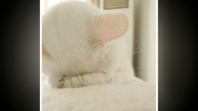 как побороть стеснительность смотреть онлайн