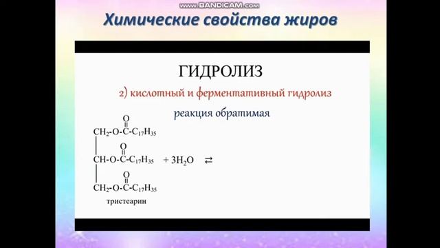 УКВХ. Преподаватель:Таубаева Э.Ж. Простые и сложные эфиры.Жиры.Мыло и синтетические моющие вещества смотреть онлайн
