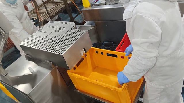 ДСГ МАКС смотреть онлайн