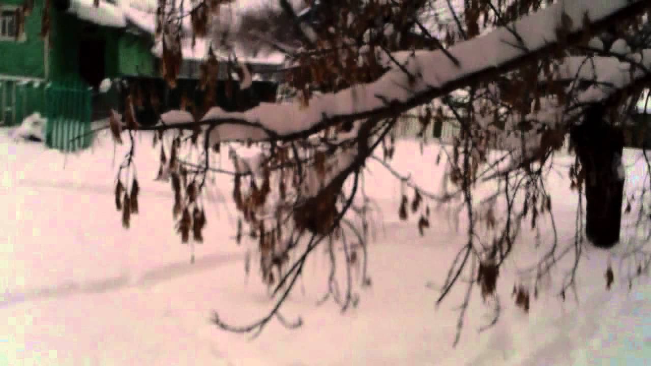 Дьяково, ровно 4 года назад, 2 месяца после переезда из города.. смотреть онлайн