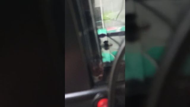 Идет не понятный звук Vitek VT-1514 BK смотреть онлайн