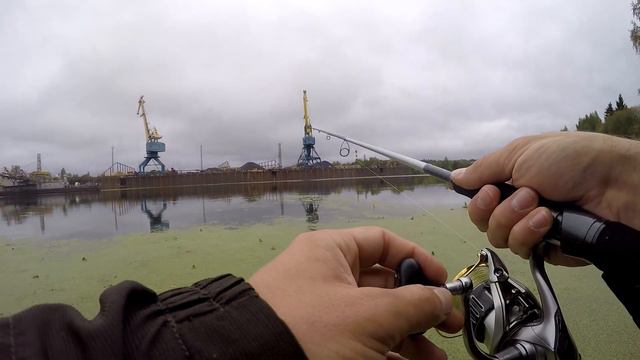 Zetrix Hayron HRS 742LML. Добротный универсальный спиннинг. Айда на берег!