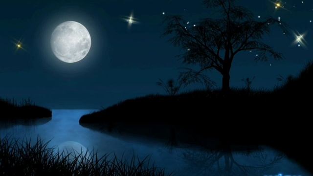 Night pond. Relax the silence of the night/Ночной пруд.Релакс ночной тиши.Сладких снов смотреть онлайн