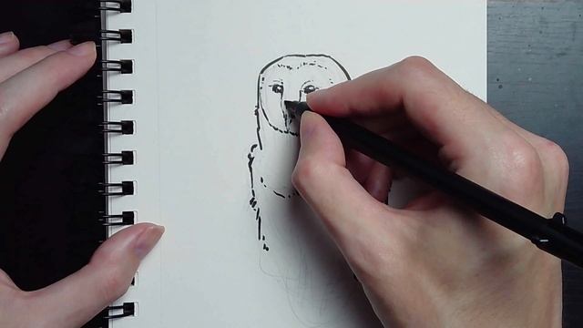 Draw An Owl With Me - Sketch And Chat