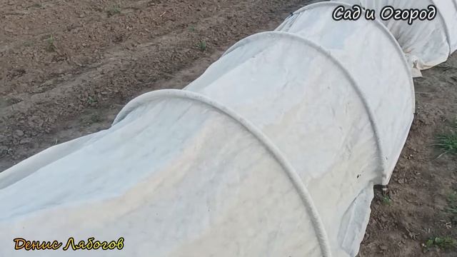 Парник из агроволокна, Что такое парник, 4 Года использования парника что с ним стало!!