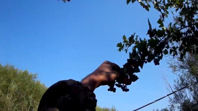 Боярка .... смотреть онлайн