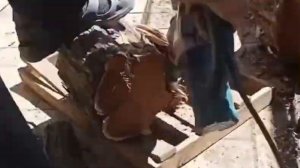 Насадка , винтовой колун на перфоратор и дрель. Конус , морковка. По акации . Отзыв дровокол