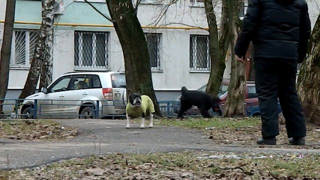 Буря - Формула - 1 из Русской Династии, 5 месяцев смотреть онлайн