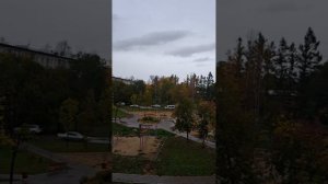 Звуки и виды служебных сирен: их назначение и применение