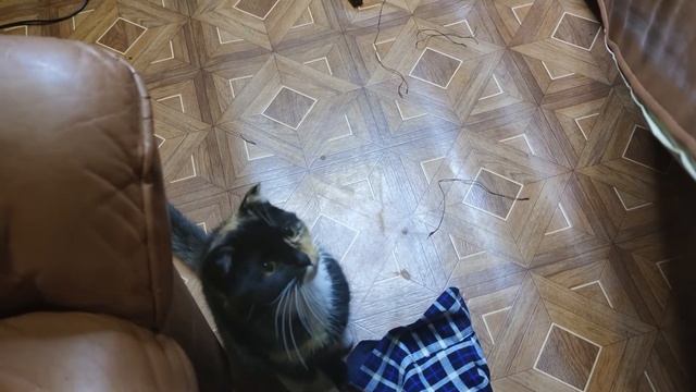 Восстанавливаем кожаный диван. Старая мебель. Бюджетный ремонт. Жидкая кожа. Реставрация кожи. 2021 смотреть онлайн