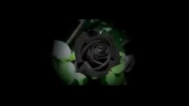 Табылды Досымов 