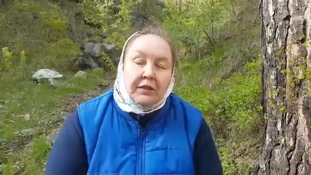 ПОДСЛАСТИТЕЛЬ СУКРАЛОЗА || Натуральный заменитель сахара и фруктозы смотреть онлайн