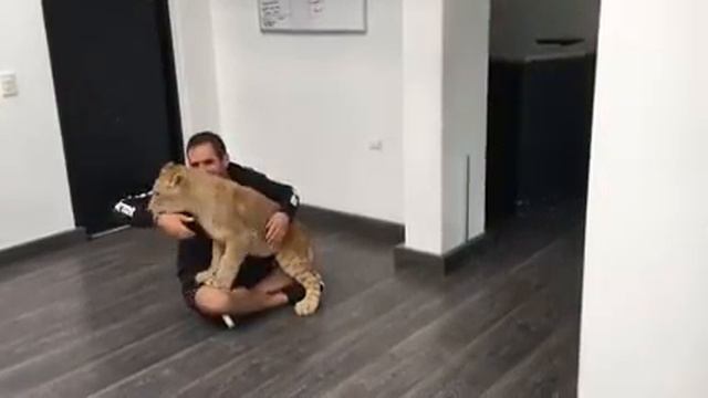 АНТИДЕПРЕСАНТ смотреть онлайн