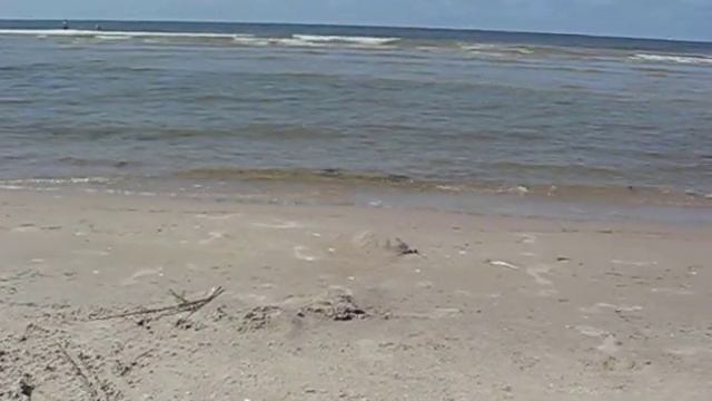 Балтийское море на Куршской косе смотреть онлайн