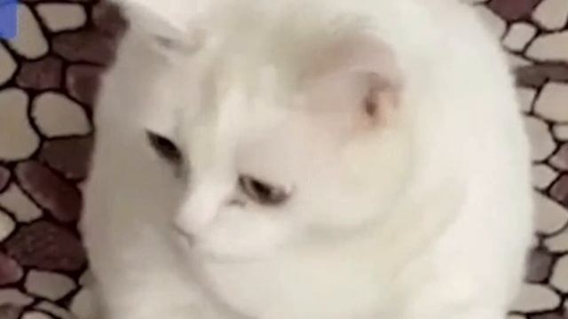 буэ 1 минута смотреть онлайн