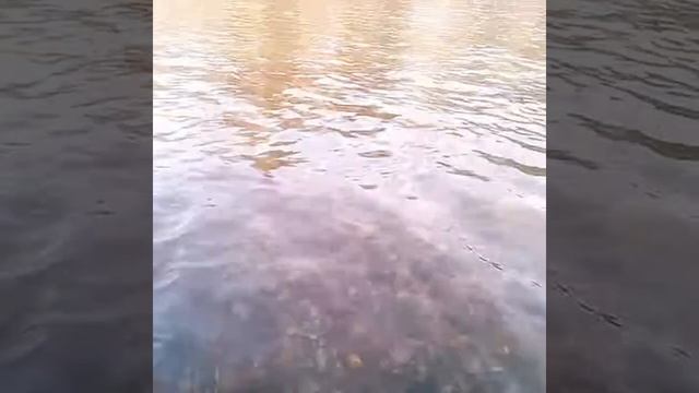 Рыбалка на Анюе в Апреле!!! смотреть онлайн