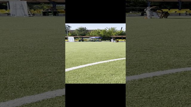 4.  выражено/перв ЗАВИСТЬ БОГОВ ФИДЖИ II (Asso Di Casa Nobili – Зависть Богов Экхольм)