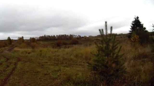 По дороге из магазина. Осенняя зарисовка. смотреть онлайн
