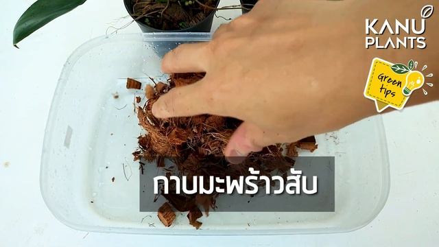 11 วัสดุปลูกต้นไม้ ที่ควรรู้ смотреть онлайн