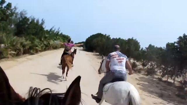Прогулка в лес c HorseRiding Hurghada смотреть онлайн