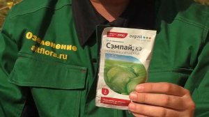 Чем и когда опрыскивать сад?