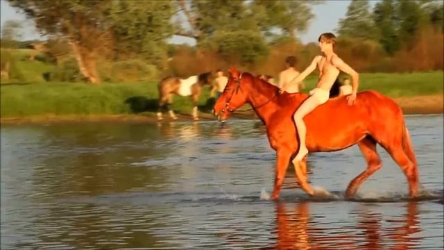 Красный конь Валентин Дьяконов смотреть онлайн