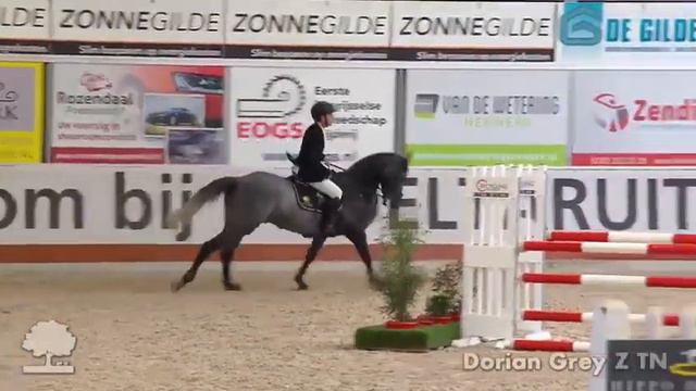 Dorian Grey TN Z смотреть онлайн