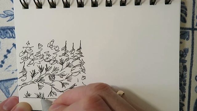 Стихотворение "Там рос сверкающих игра" и рисунок в исполнении автора смотреть онлайн