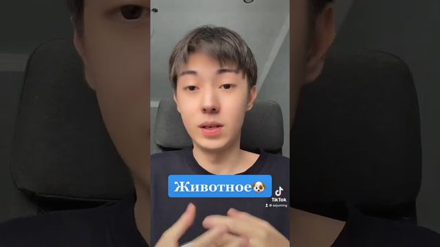 Почему корейцы не говорят про А А А🇰🇷 #корея #кореец #россия смотреть онлайн