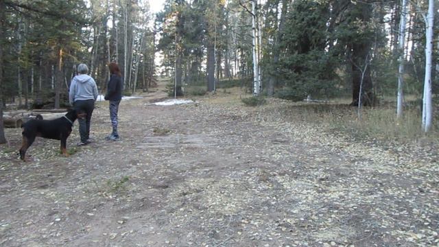 haunted land смотреть онлайн