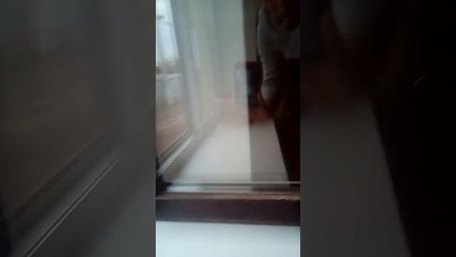 Гринвей! Как быстро и без разводов помыть окна!?? смотреть онлайн