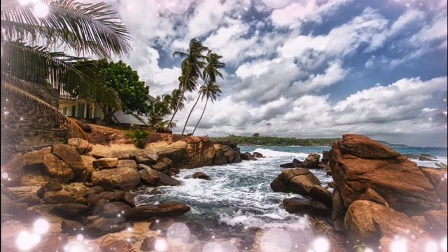 Звуки моря, дельфинов, волн. Спокойствие и умиротворение. смотреть онлайн