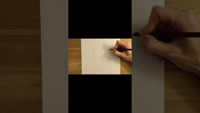 Simple sketch for beginners смотреть онлайн