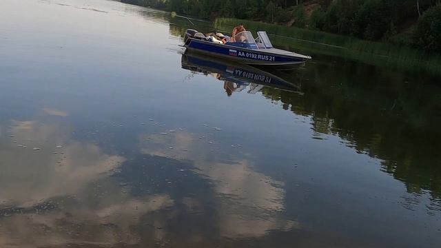 Зеленый бультерьер смотреть онлайн