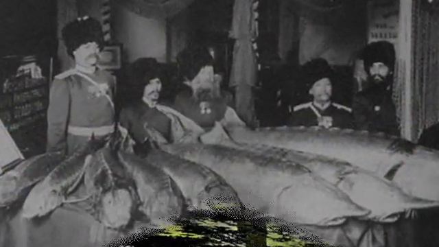 На реке Урале.wmv смотреть онлайн