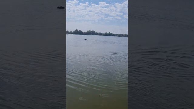 прикормочный кораблик "piXel Boat", безколлекторный двигатель 5010. смотреть онлайн