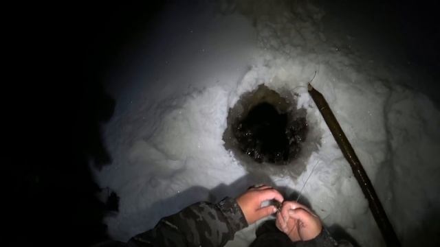 ВЕЧЕРНЯЯ ПРОВЕРКА ПАЛОК НА НАЛИМА \ ЕСТЬ ТРОФЕЙ!! НАЛИМ АЛЬБИНОС, 4-5-6 КГ, СКОЛЬКО ОН? ВЕЧЕР В ИЗБ смотреть онлайн