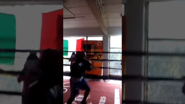 Pelea JESUS vs puños de piedra смотреть онлайн