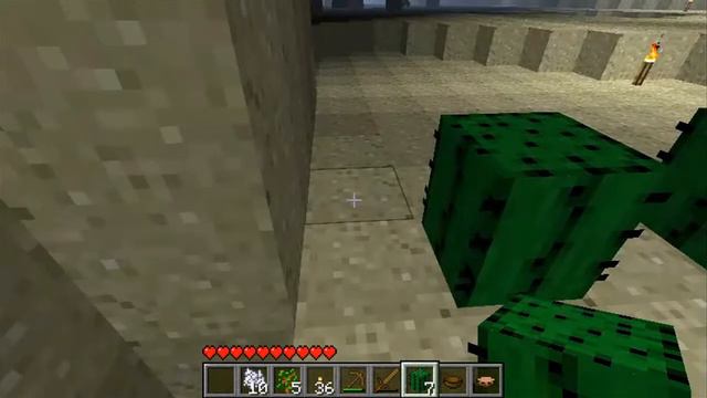 Minecraft The Black Desert Part 21: Home Security смотреть онлайн