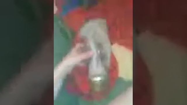 обзор противогазов вооооооу они классные срочно смотрите.!!!!!!!!!!!!!!! смотреть онлайн