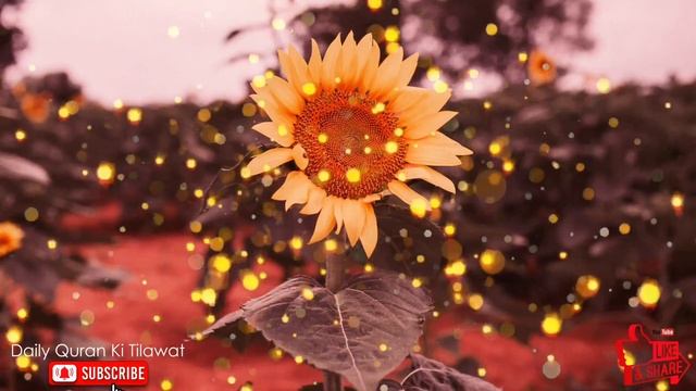 Surah Rahman | Full With HD Arabic | Beautiful Recitation | سورہ رحمٰن | The holy Quran | mrEp-009 смотреть онлайн
