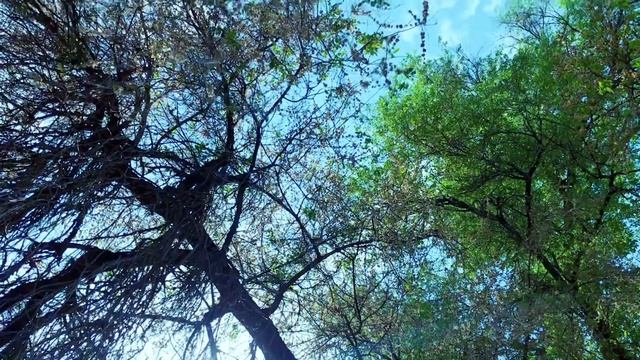 Выходите на природу,дышите свежим воздухом ? #пикник смотреть онлайн