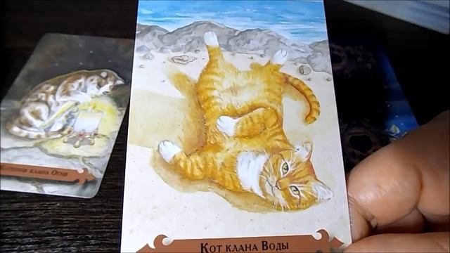 Гадание на 15 МАЯ 2017 года на ТАРО - КАРТА ДНЯ смотреть онлайн