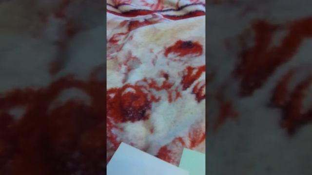 Решаем вопросики вместе со Светой