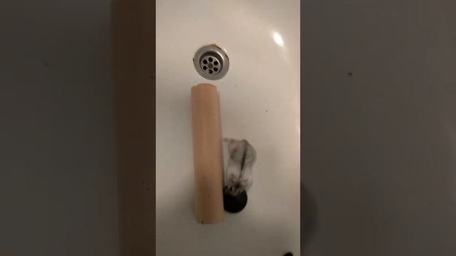 Можно ли подружить бенгальского кота и хомяка? смотреть онлайн