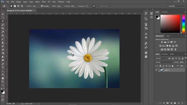 Lasso Tool,Polygonal Lasso Tool And Magnetic Lasso Tool