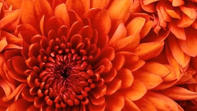 природа классс смотреть онлайн