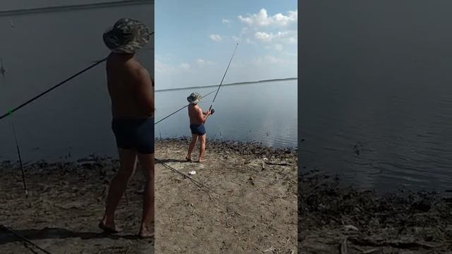 треустан карп смотреть онлайн