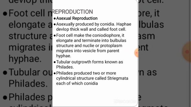 Ascomycetes смотреть онлайн
